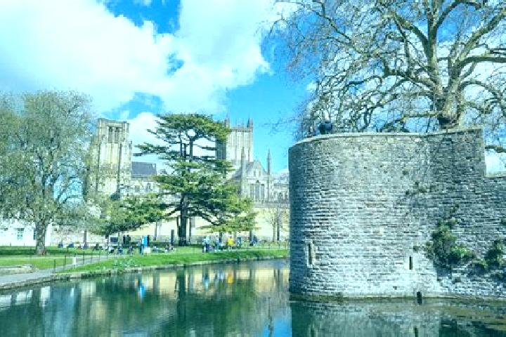 Escorts Wells, United Kingdom — Local Companions