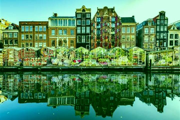 Escorts Wessem, Netherlands — Local Companions
