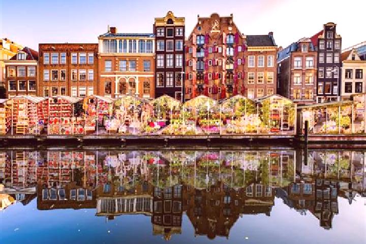 Escorts Westenenk, Netherlands — Local Companions