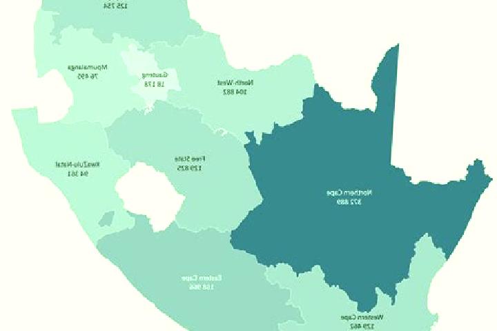 Escorts Western Areas, South Africa — Local Companions