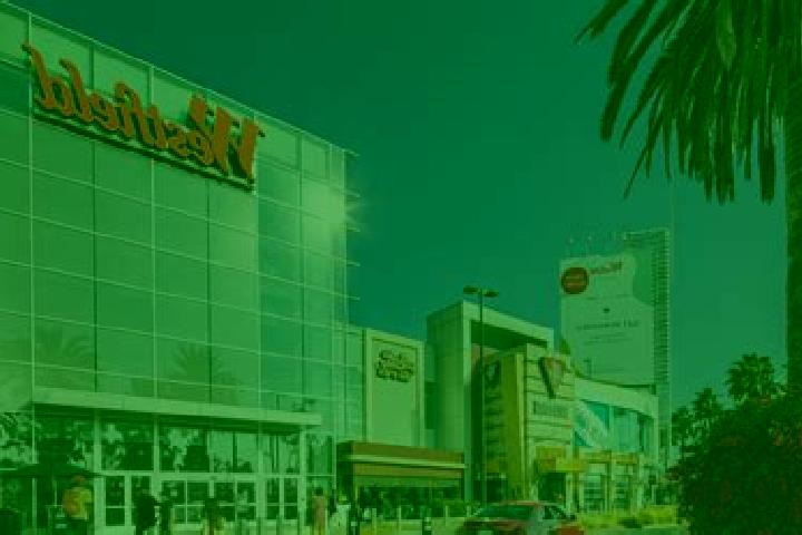 Escorts Westfield, United States — Local Companions