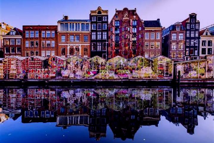 Escorts Westlaren, Netherlands — Local Companions