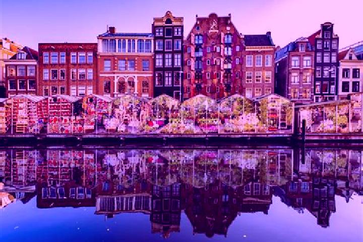 Escorts Westmaas, Netherlands — Local Companions