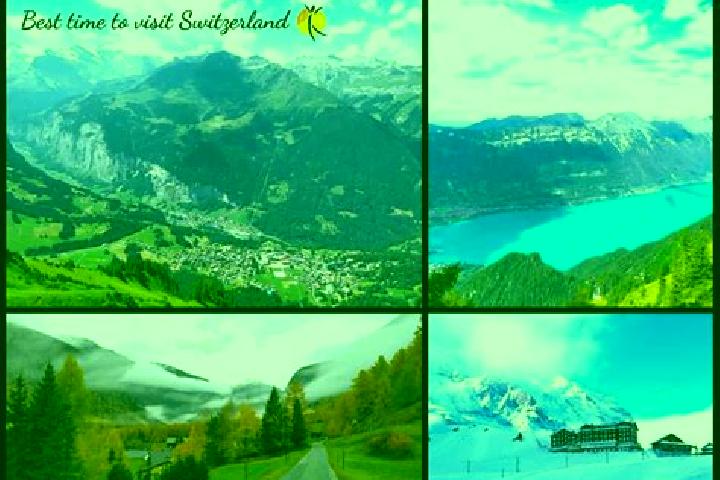 Escorts Wettswil, Switzerland — Local Companions