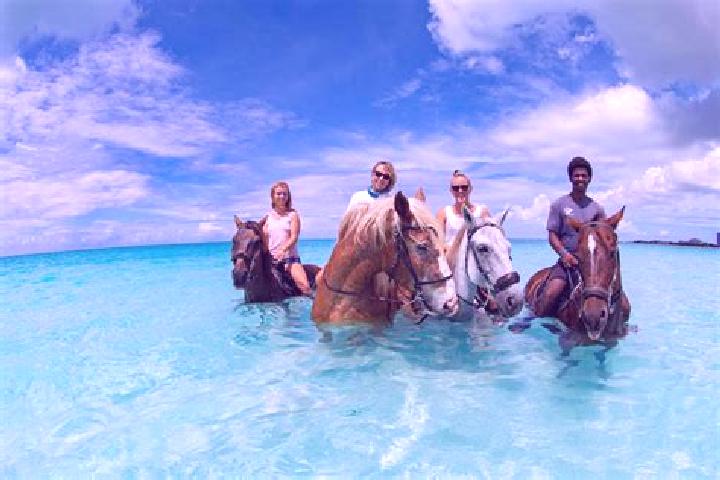 Escorts Wheeland, Turks and Caicos Islands — Local Companions