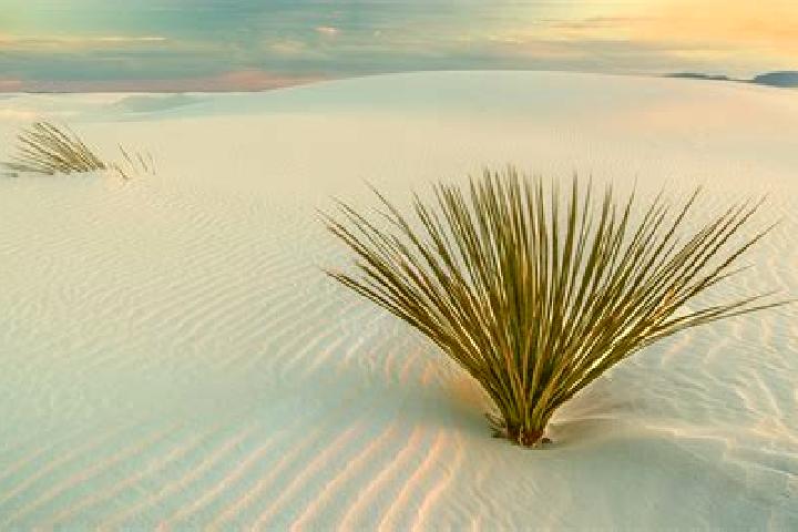Escorts White Sands, United States — Local Companions