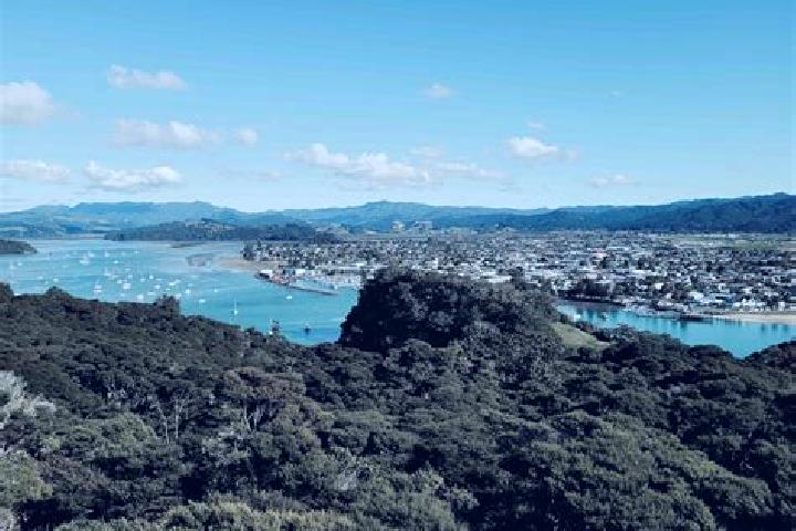 Escorts Whitianga, New Zealand — Local Companions
