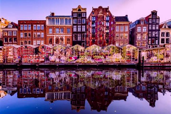Escorts Wijchen, Netherlands — Local Companions