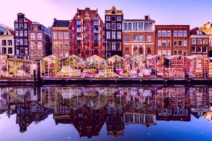 Escorts Wijdenes, Netherlands — Local Companions