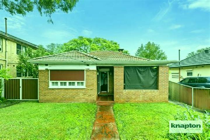 Escorts Wiley Park, Australia — Local Companions
