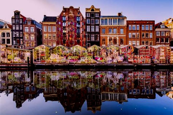 Escorts Wilhelminaoord, Netherlands — Local Companions