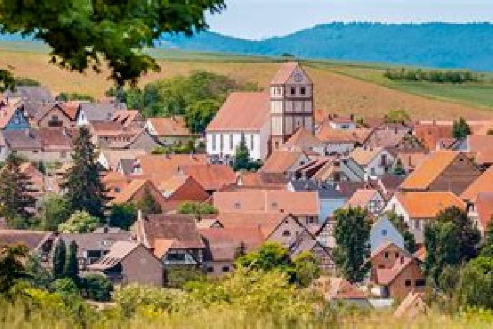 Escorts Willgottheim, France — Local Companions
