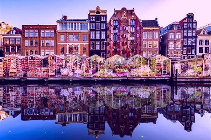Escorts Wilnis, Netherlands — Local Companions