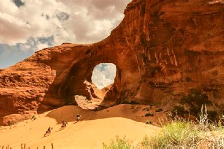 Escorts Window Rock, United States — Local Companions