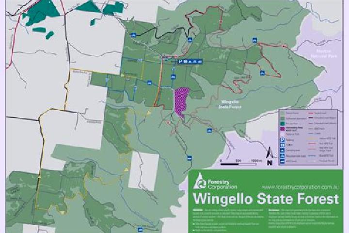 Escorts Wingello, Australia — Local Companions