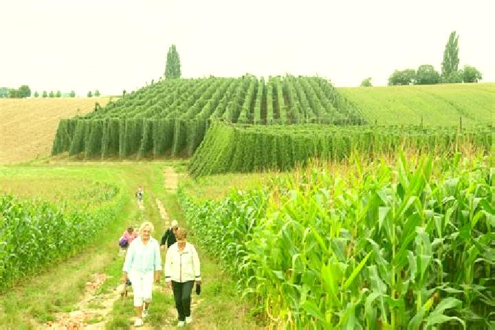 Escorts Wingersheim, France — Local Companions