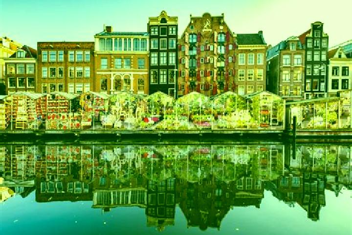 Escorts Winkewijert, Netherlands — Local Companions