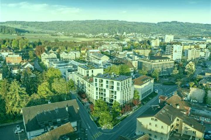 Escorts Wohlen, Switzerland — Local Companions