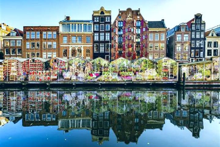 Escorts Wolphaartsdijk, Netherlands — Local Companions