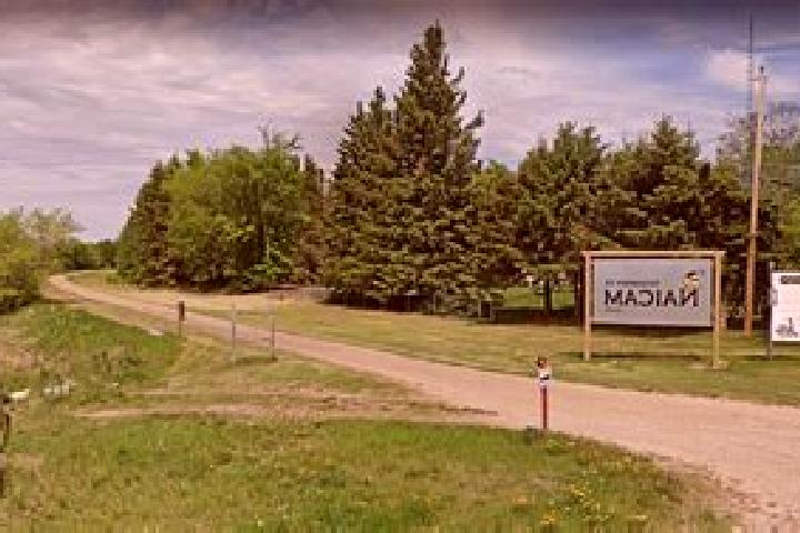 Escorts Wynyard, Canada — Local Companions