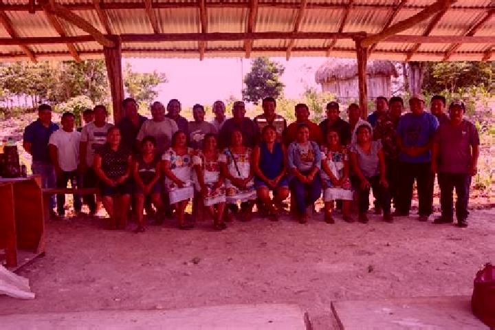 Escorts X-Hazil Sur, Mexico — Local Companions