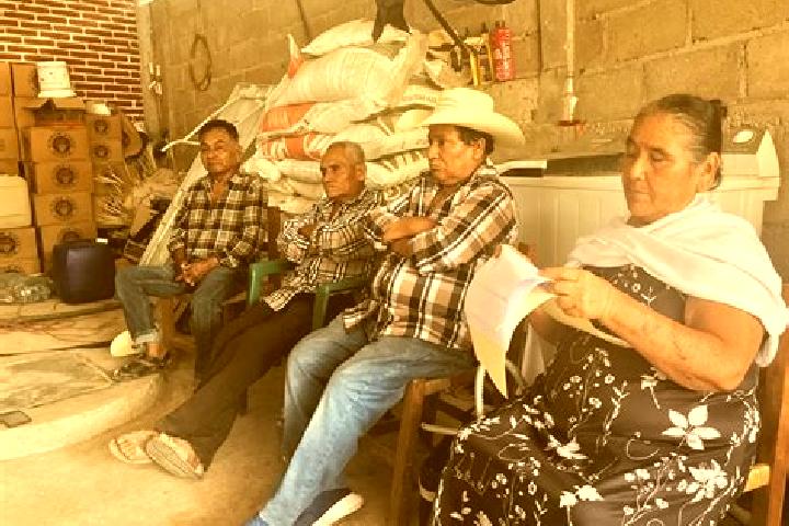 Escorts Xalpatlahuac, Mexico — Local Companions