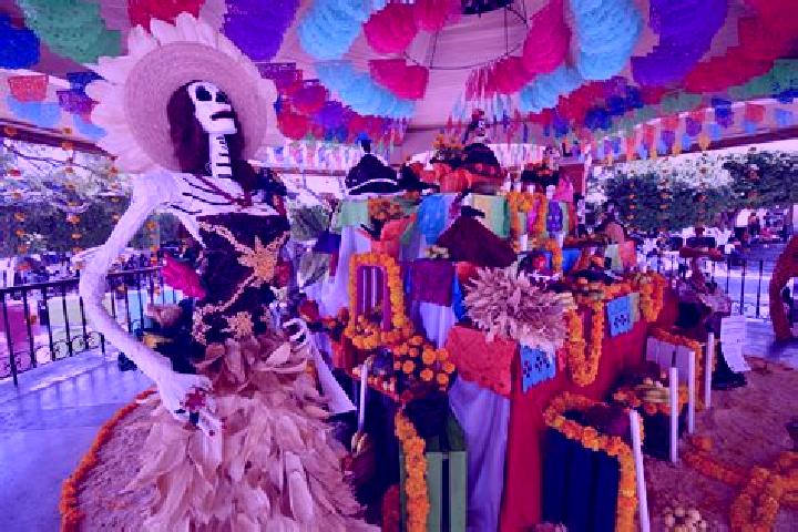 Escorts Xaltipan, Mexico — Local Companions