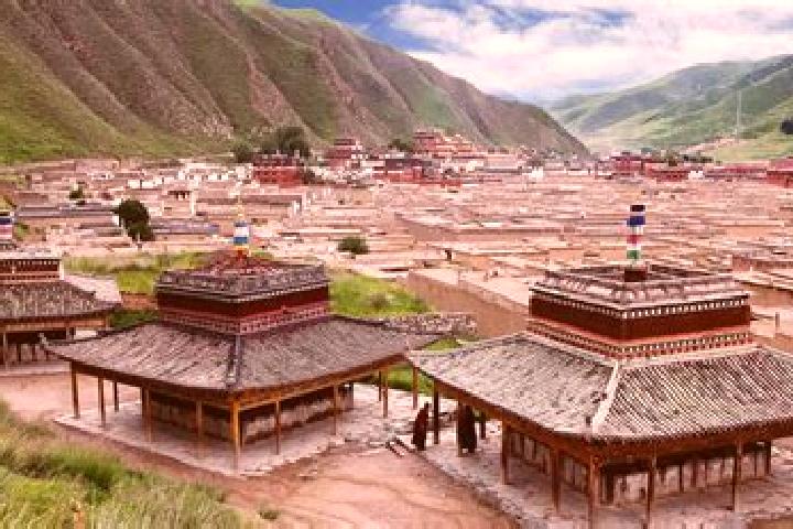 Escorts Xiahe, China — Local Companions