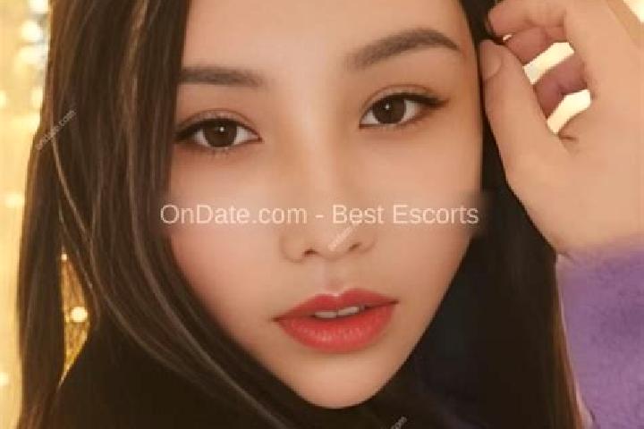 Escorts Xiangyangpu, China — Local Companions