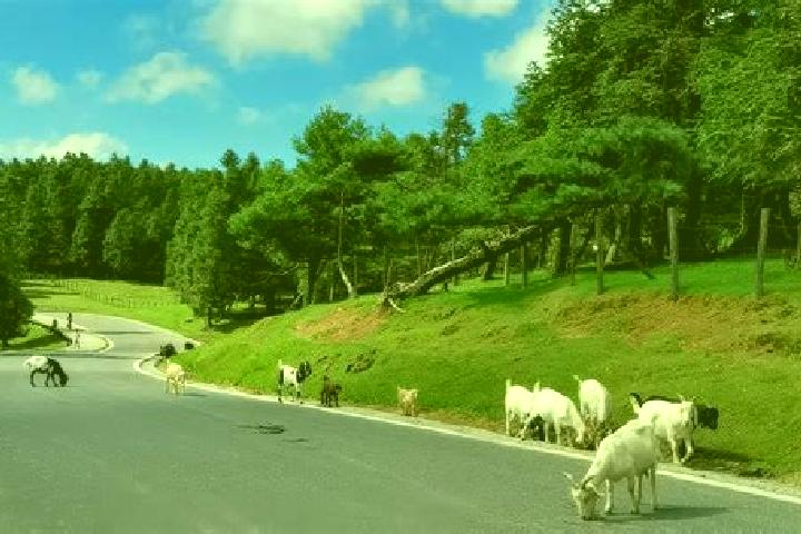 Escorts Xiannueshan, China — Local Companions