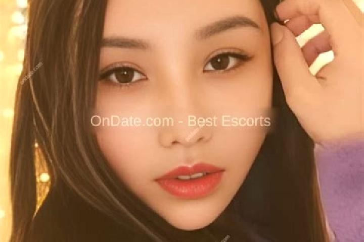 Escorts Xinggongxia, China — Local Companions