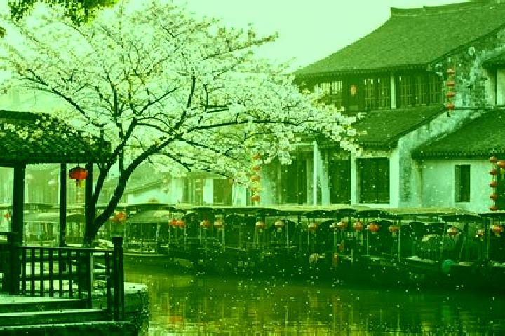 Escorts Xitang, China — Local Companions