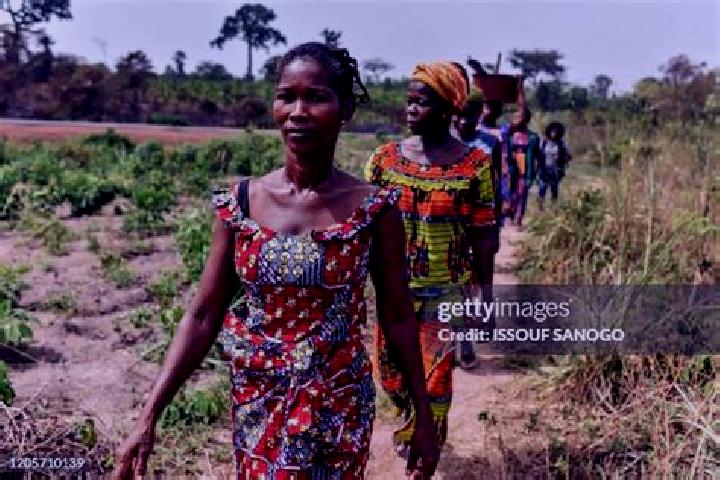 Escorts Yafi-Kouamekro, Ivory Coast — Local Companions
