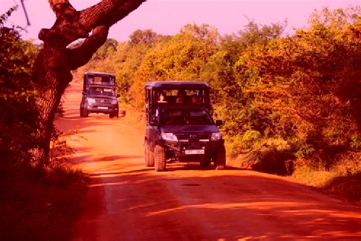 Escorts Yala, Kenya — Local Companions