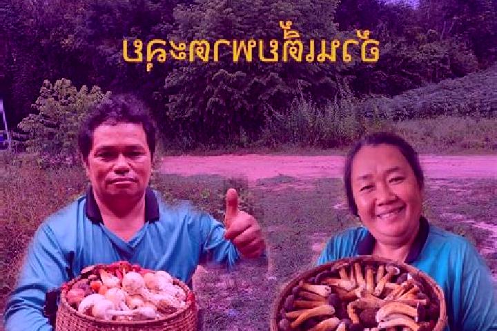 Escorts Yang Chum Noi, Thailand — Local Companions