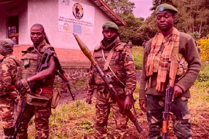 Escorts Yangambi, DR Congo — Local Companions