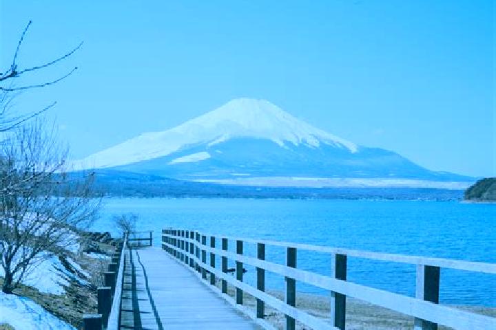 Escorts Yao, Japan — Local Companions
