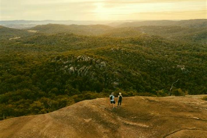 Escorts Yarraman, Australia — Local Companions