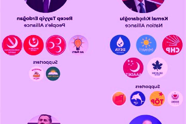 Escorts Yasarkoey, Turkey — Local Companions