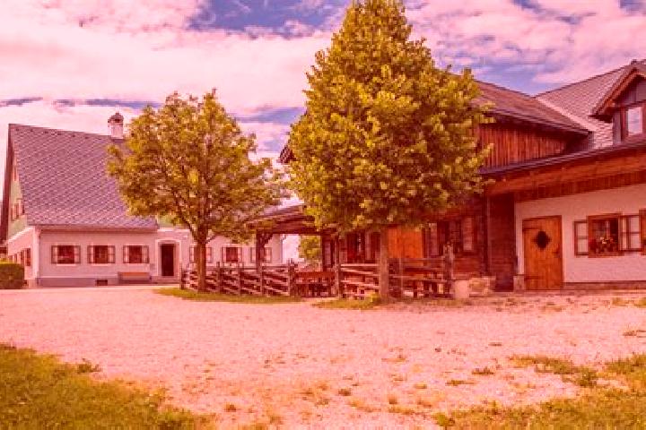 Escorts Ybbsitz, Austria — Local Companions