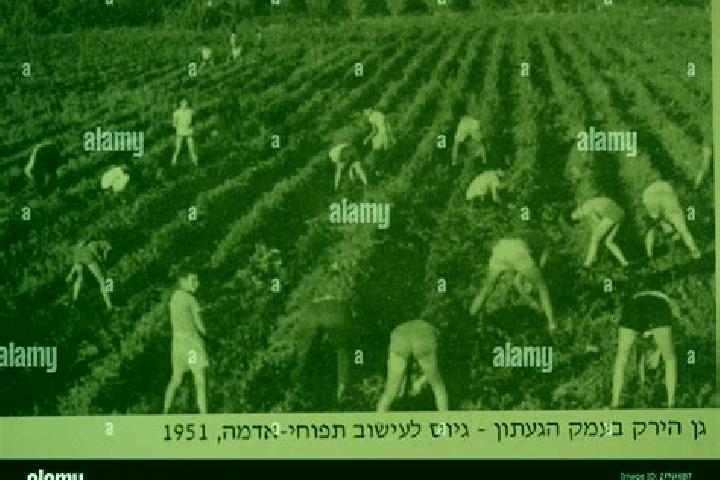 Escorts Yehi am, Israel — Local Companions
