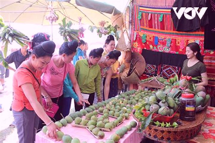 Escorts Yen Chau, Vietnam — Local Companions