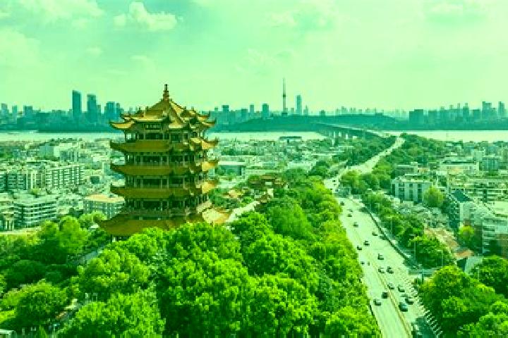 Escorts Yinghua, China — Local Companions