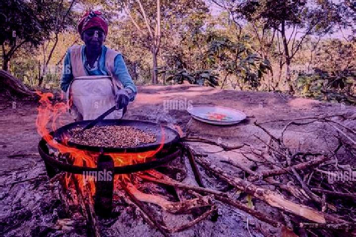 Escorts Yirga Alem, Ethiopia — Local Companions
