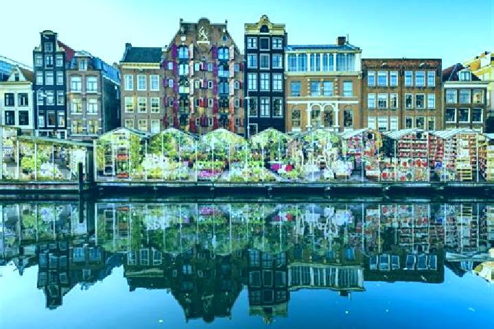 Escorts Ypenburg, Netherlands — Local Companions