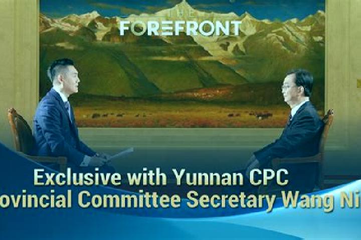 Escorts Yuanhua, China — Local Companions