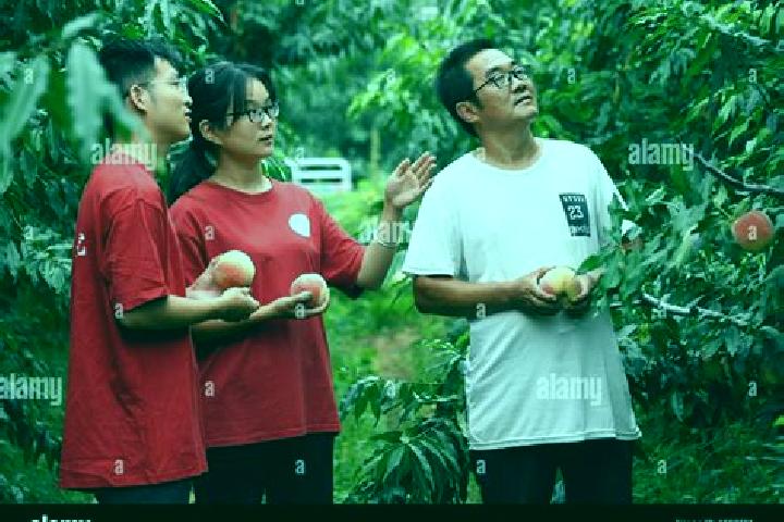 Escorts Yukou, China — Local Companions