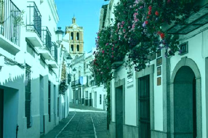 Escorts Zafra, Spain — Local Companions