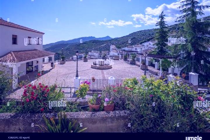Escorts Zahara, Spain — Local Companions