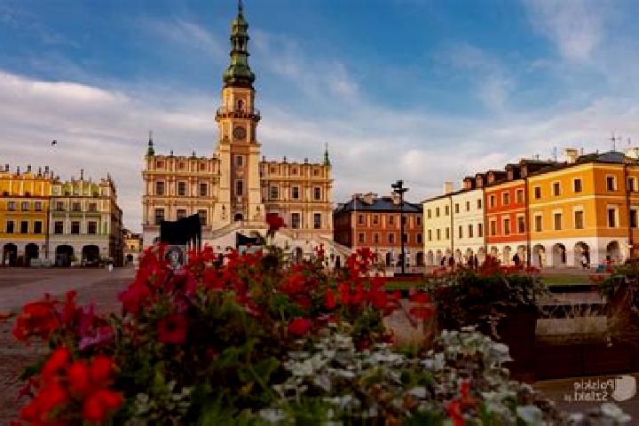 Escorts Zamosc, Poland — Local Companions